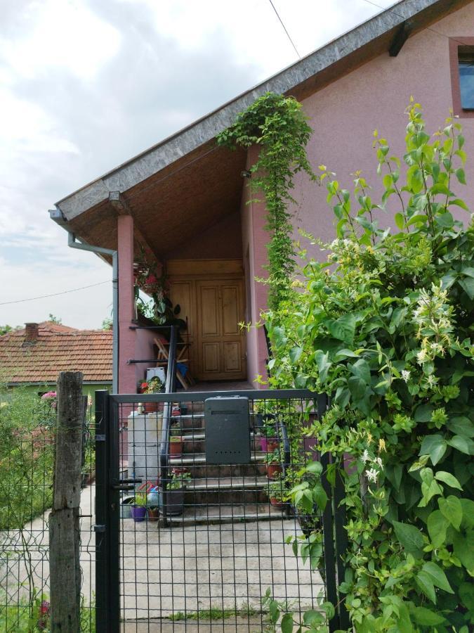 Stancic 019 Leilighet Zaječar Eksteriør bilde