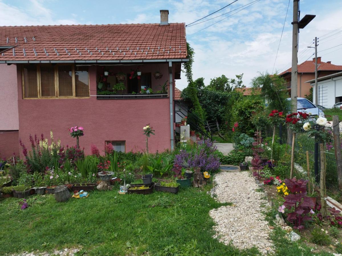 Stancic 019 Leilighet Zaječar Eksteriør bilde