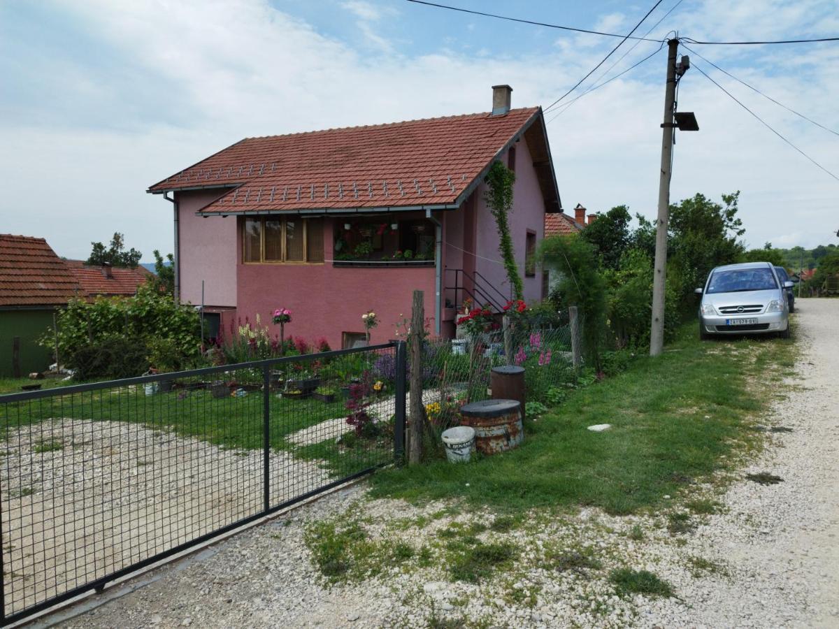 Stancic 019 Leilighet Zaječar Eksteriør bilde