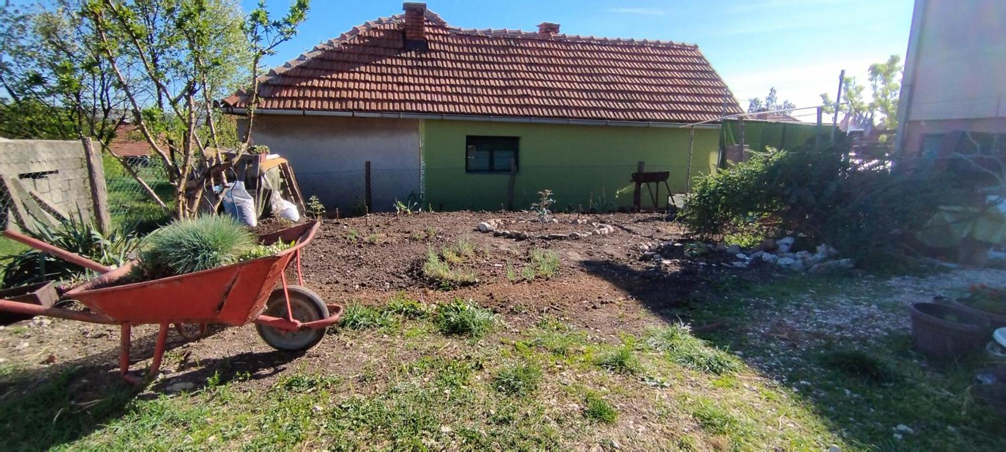 Stancic 019 Leilighet Zaječar Eksteriør bilde